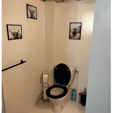 Nature & Scandinave *