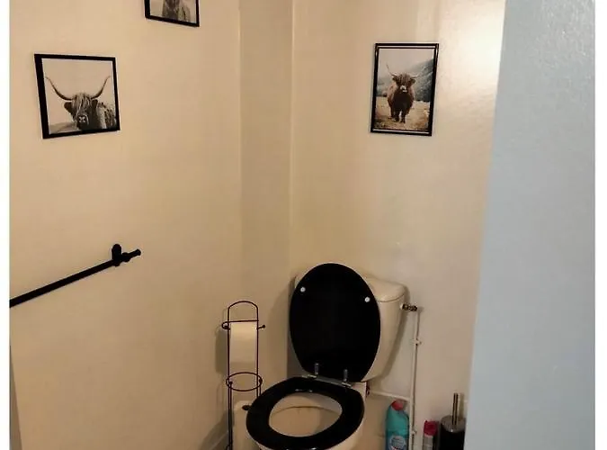 Nature & Scandinave *